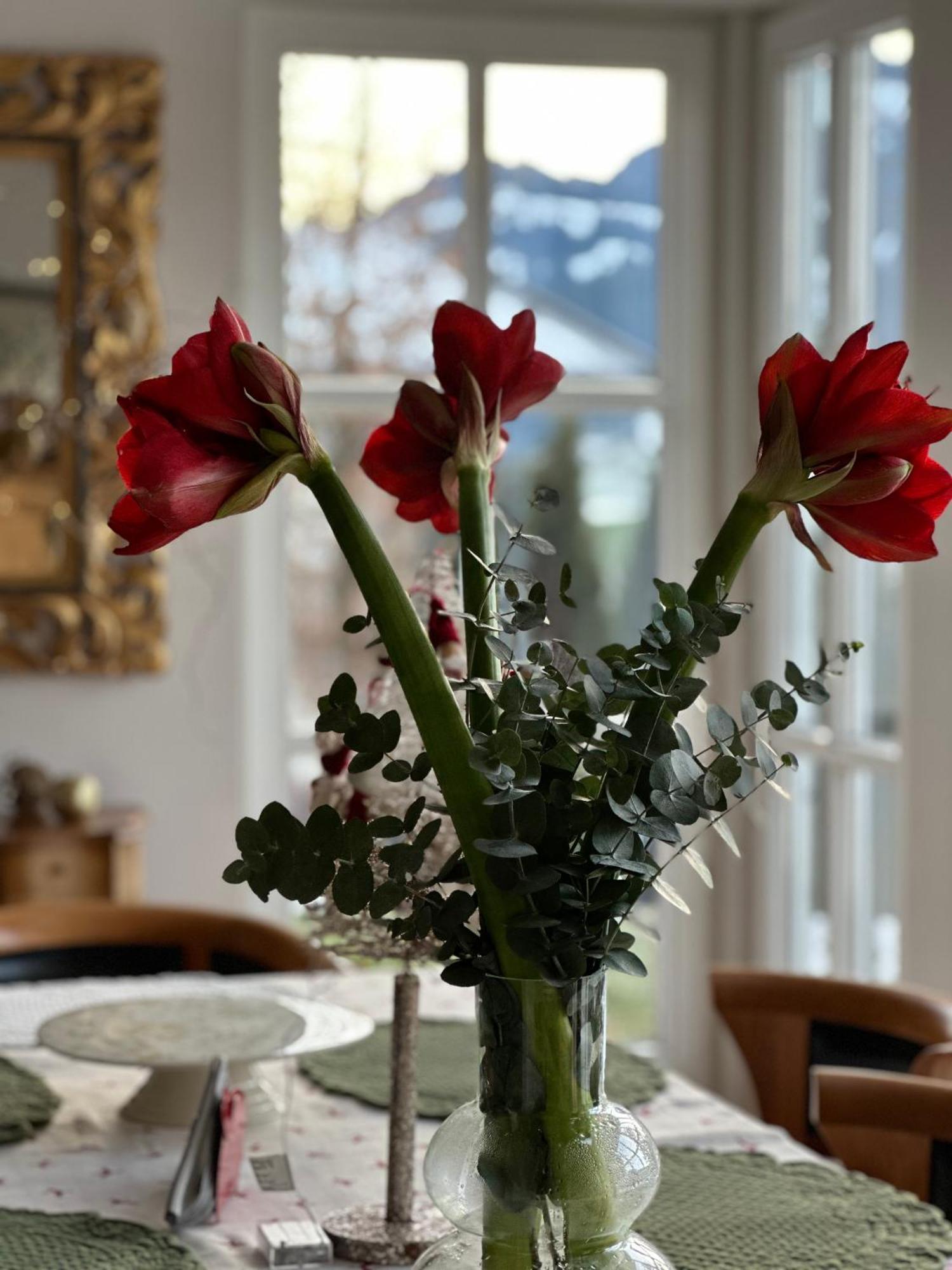 Villa Kitzbuehel 티롤 키르흐베르크 외부 사진