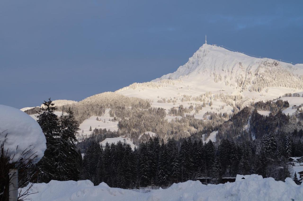 Villa Kitzbuehel 티롤 키르흐베르크 외부 사진